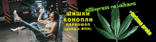 крисы Алексин