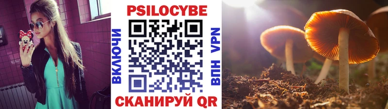 shop формула  Перевоз  Псилоцибиновые грибы мухоморы  даркнет сайт 