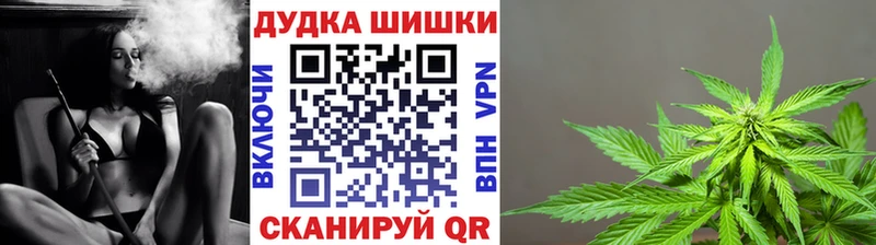 Конопля план  где можно купить   Перевоз 